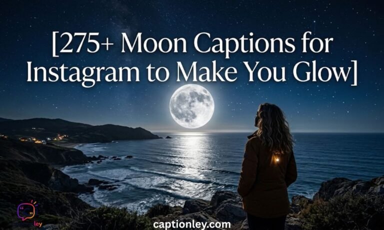 275+ Moon Captions for Instagram to Make You Glow